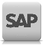 SAP Portal
